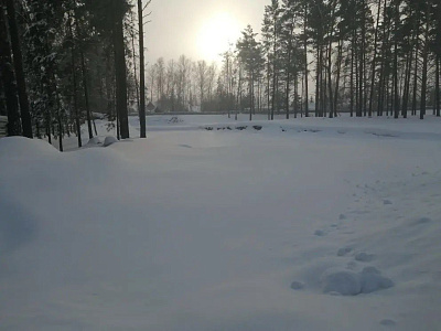 Расцветай у Академгородка