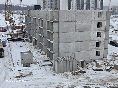 КВАРТАЛ ТИГРЫ