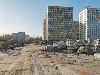 Янинский лес
