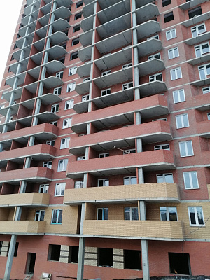 ЖК Ельцовский
