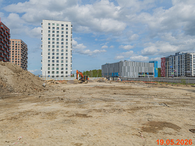 Янинский лес