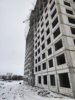 ЖК Пульс