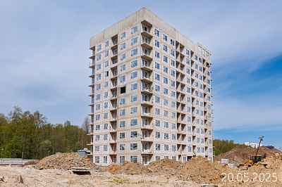 Новоселье