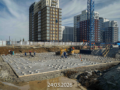 Мириады город в принципах ЭНКО, Мириады