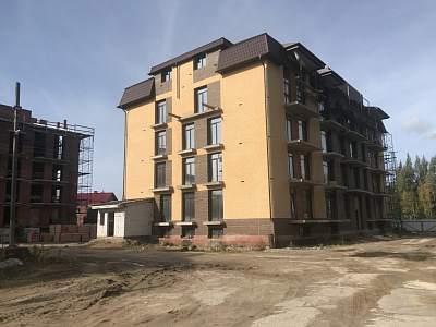 ЛО, Деревня Заневка