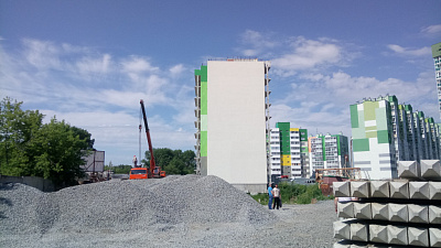 Березовая роща