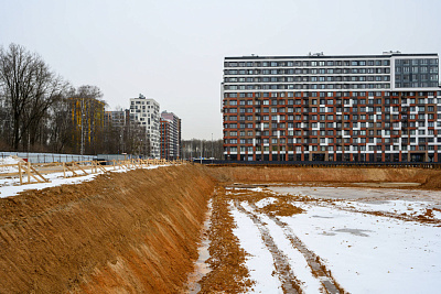 Левел Лесной