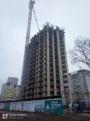 Расцветай на Бугринской роще