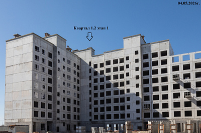 РеФорма Оптимум