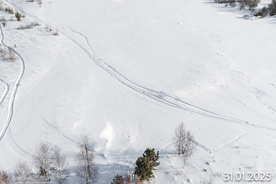 АЙРИС