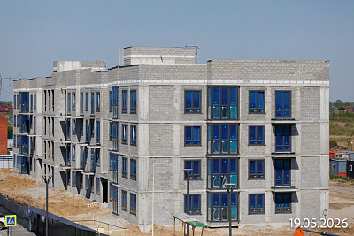 Смородина