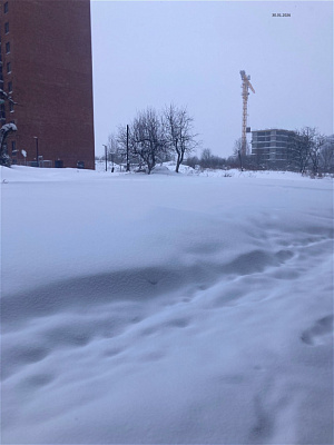 Скандинавия 8