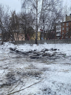 г. Новосибирск