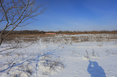 Новый Ростов 81 Литер