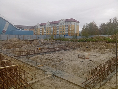 г. Губкинский