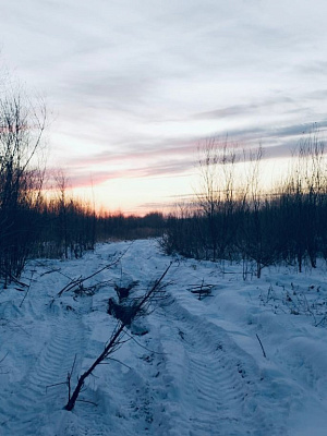 село С Новолуговое