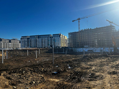 Брусника в Академическом