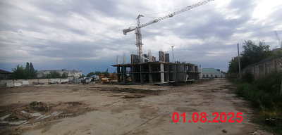 Крылья Качи