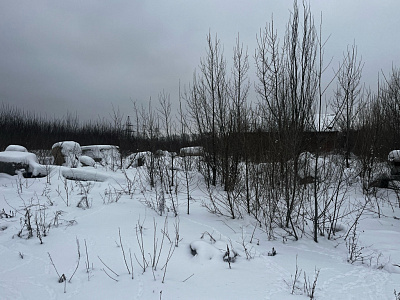 г. Тамбов, улица Заводская