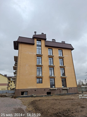ЛО, Деревня Заневка