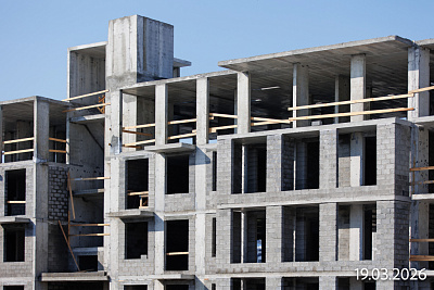 Смородина