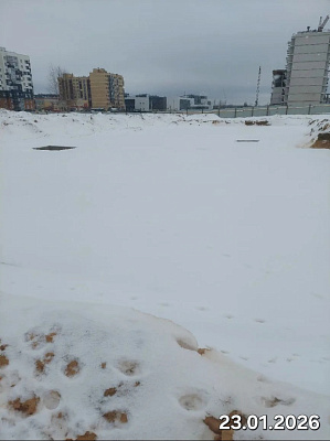 Деревня Борисовичи