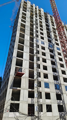 КУРКИНО15