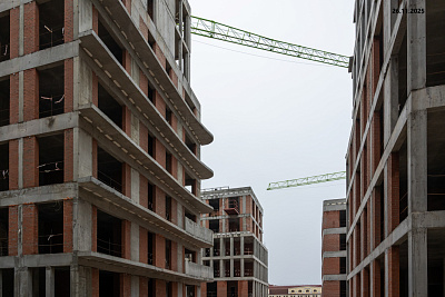 ЗАРЯ