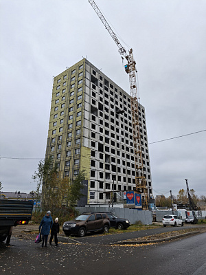 ЖК Пульс