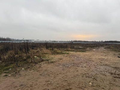 Расцветай в Янино