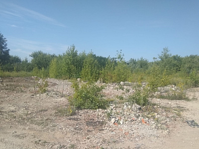 г. Тамбов, улица Заводская