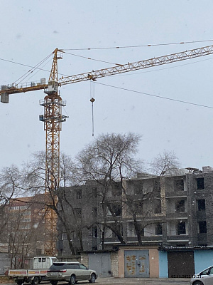 Дальневосточный Талисман