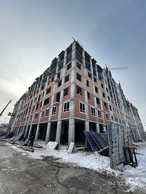 Северное Сияние Премиум