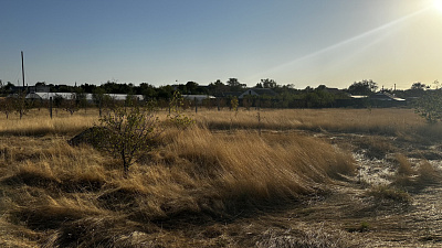 Село Новоселовка, Улица Виноградная