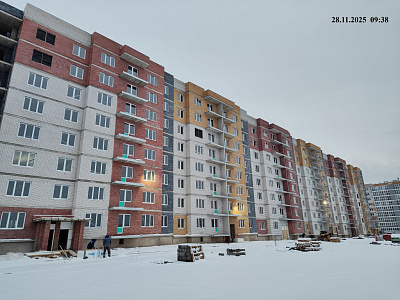 деревня Родина