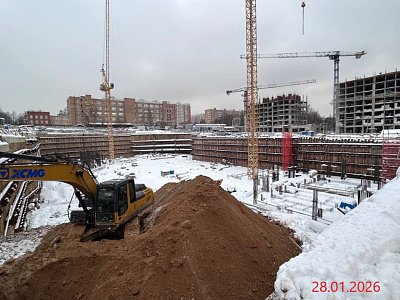 Новые Академики. Дом-оранжерея