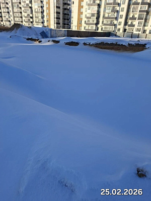 Деревня Борисовичи