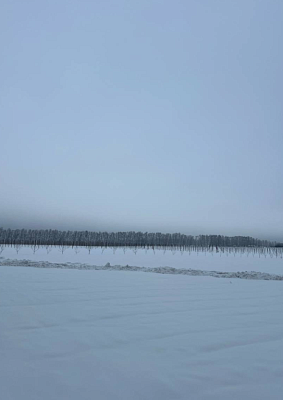 Миниполис Дивное