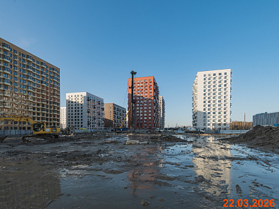 Янинский лес