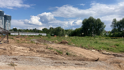 Оригана