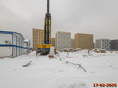 Янинский лес