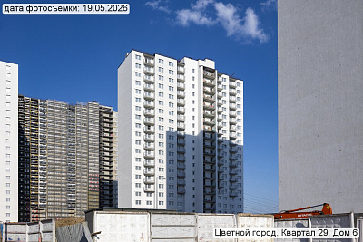 Цветной город