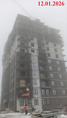 Крылья Качи