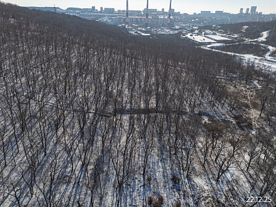 Квартал Нейбута