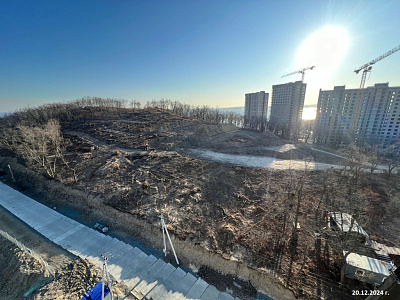 ДОМ на Востоке (корпус 7)