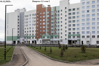 РеФорма Оптимум