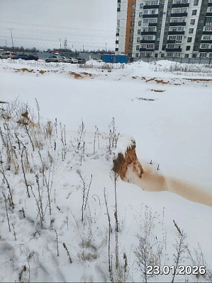 Деревня Борисовичи