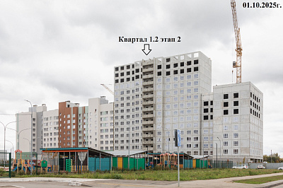 РеФорма Оптимум