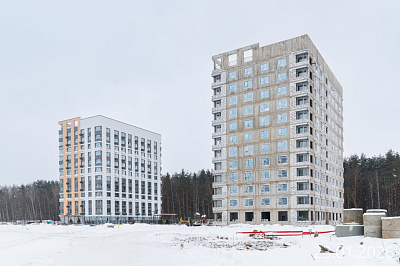 Новоселье