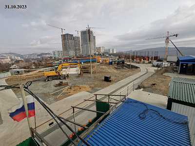 г. Владивосток, ул Каштановая